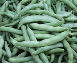 String Less Green Pod Bush Bean