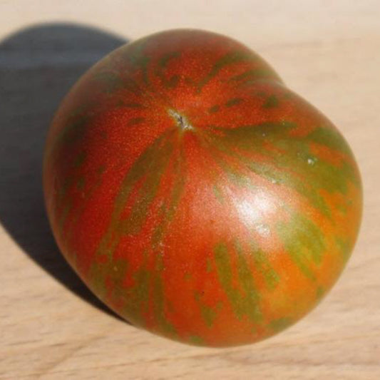 Guernsey Island Tomato