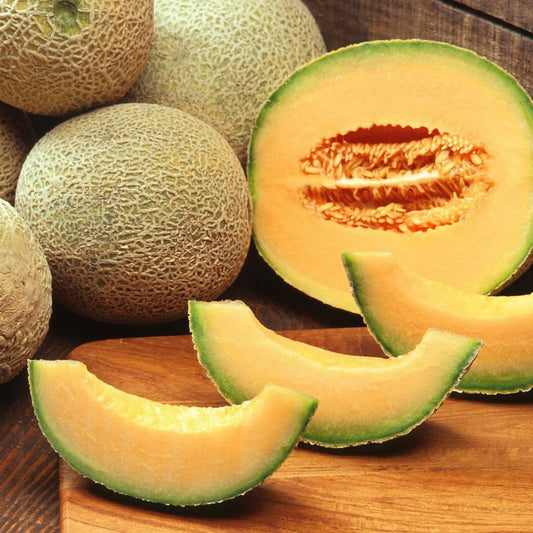 A ripe Hale’s Best Cantaloupe cut open to reveal its sweet, orange flesh, with a whole melon in the background ready to harvest.