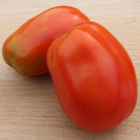 Heidi Tomato