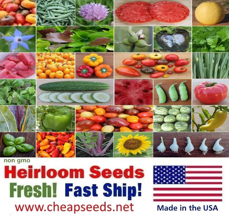 A bright collage of homegrown heirloom vegetables, herbs, and flowers from CheapSeeds.net. This image features colorful tomatoes, peppers, cucumbers, lettuce, garlic, and sunflowers — all packaged in the U.S.A. and available as non-GMO heirloom seeds. Perfect for promoting “Grow Your Own Food” gardening and self-sufficiency.