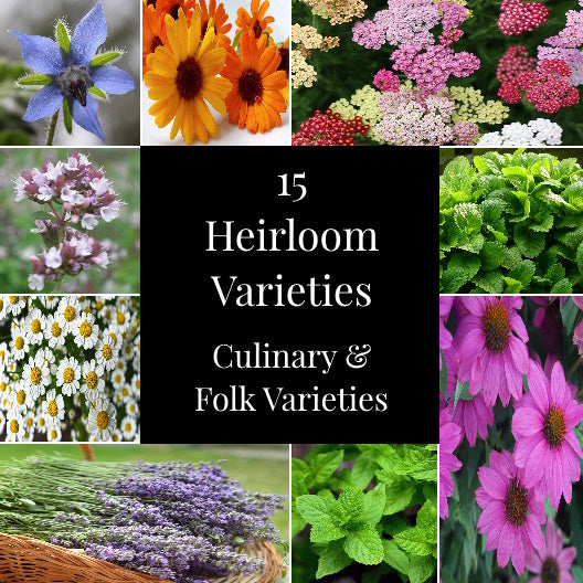 Collage of 15 heirloom herbs from a herbal garden seed collection, including basil, chamomile, lavender, peppermint, sage, and oregano, perfect for culinary and pollinator-friendly home gardens