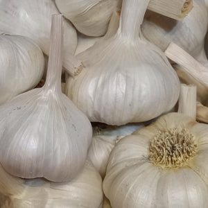 Inchelium Red Garlic