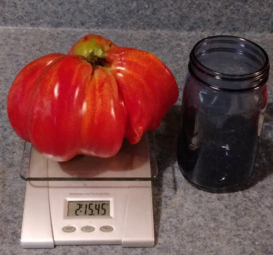 Irish Tomato - Cheap Seeds, LLC