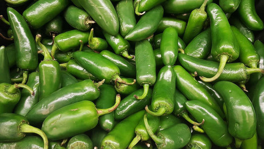 Jalapeno Hot Pepper - Cheap Seeds, LLC