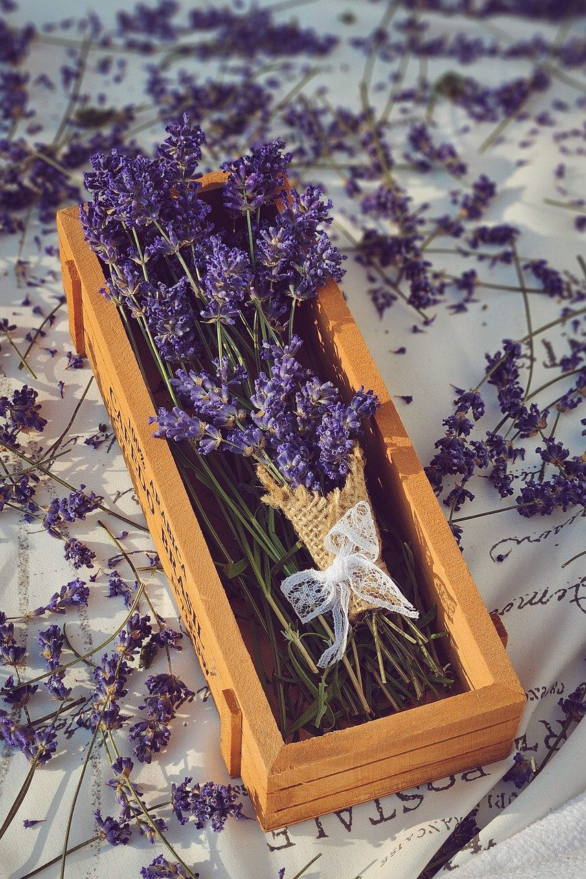 True Lavender