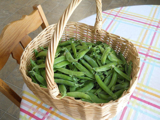 Lincoln Pea - Cheap Seeds, LLC