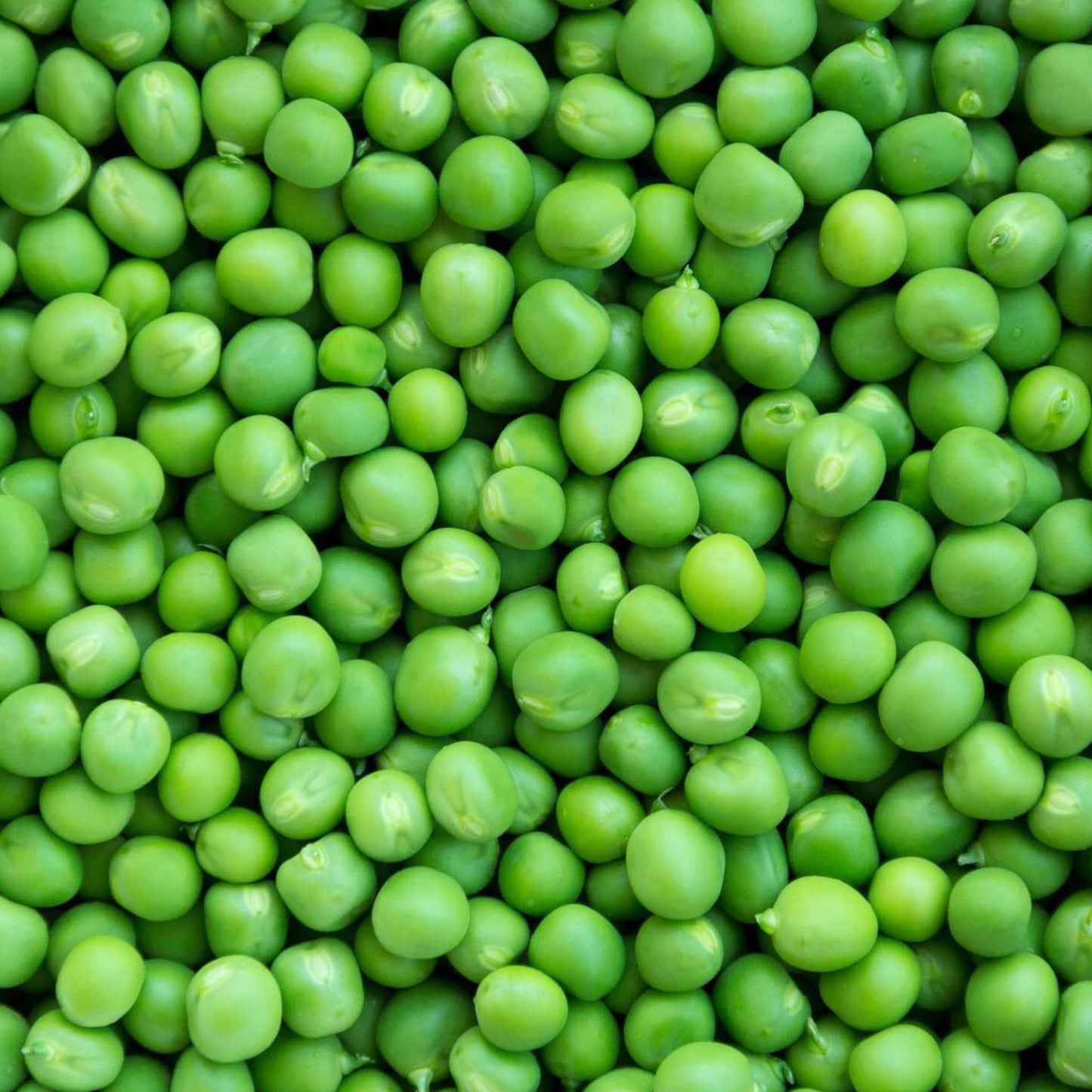 Close-up of a pile of green peas