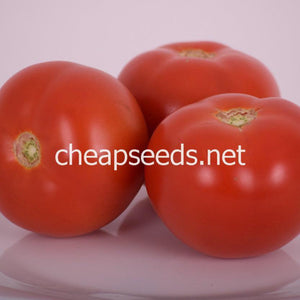 Mamie Brown's Pink Tomato