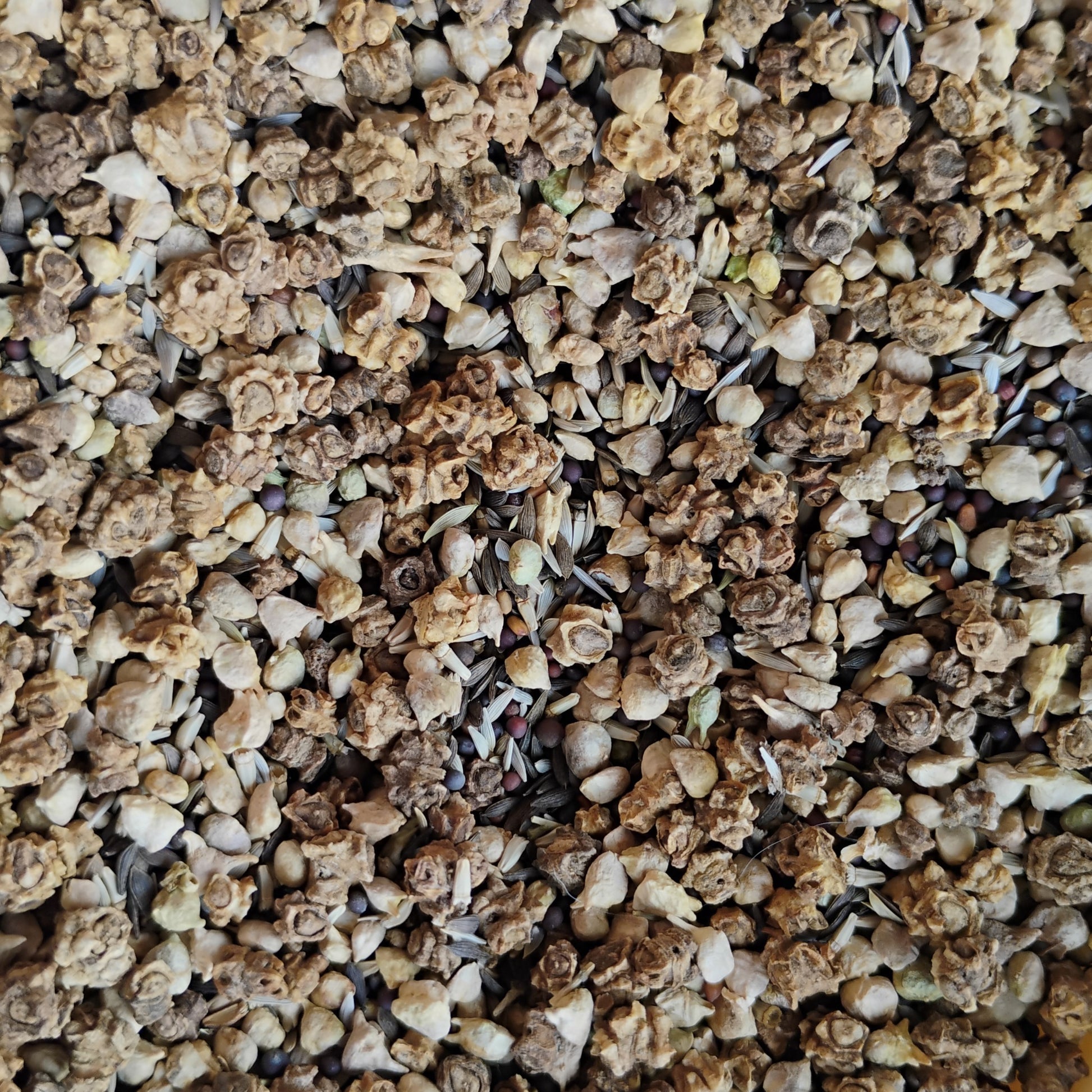 Close-up of loose mesclun mix seeds used to grow greens for chickens