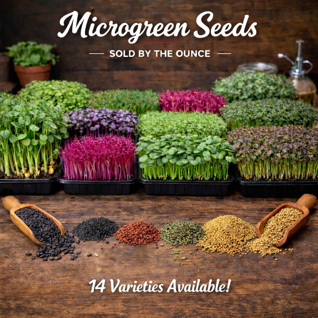 Microgreen Grower Seeds – Sold by the Ounce