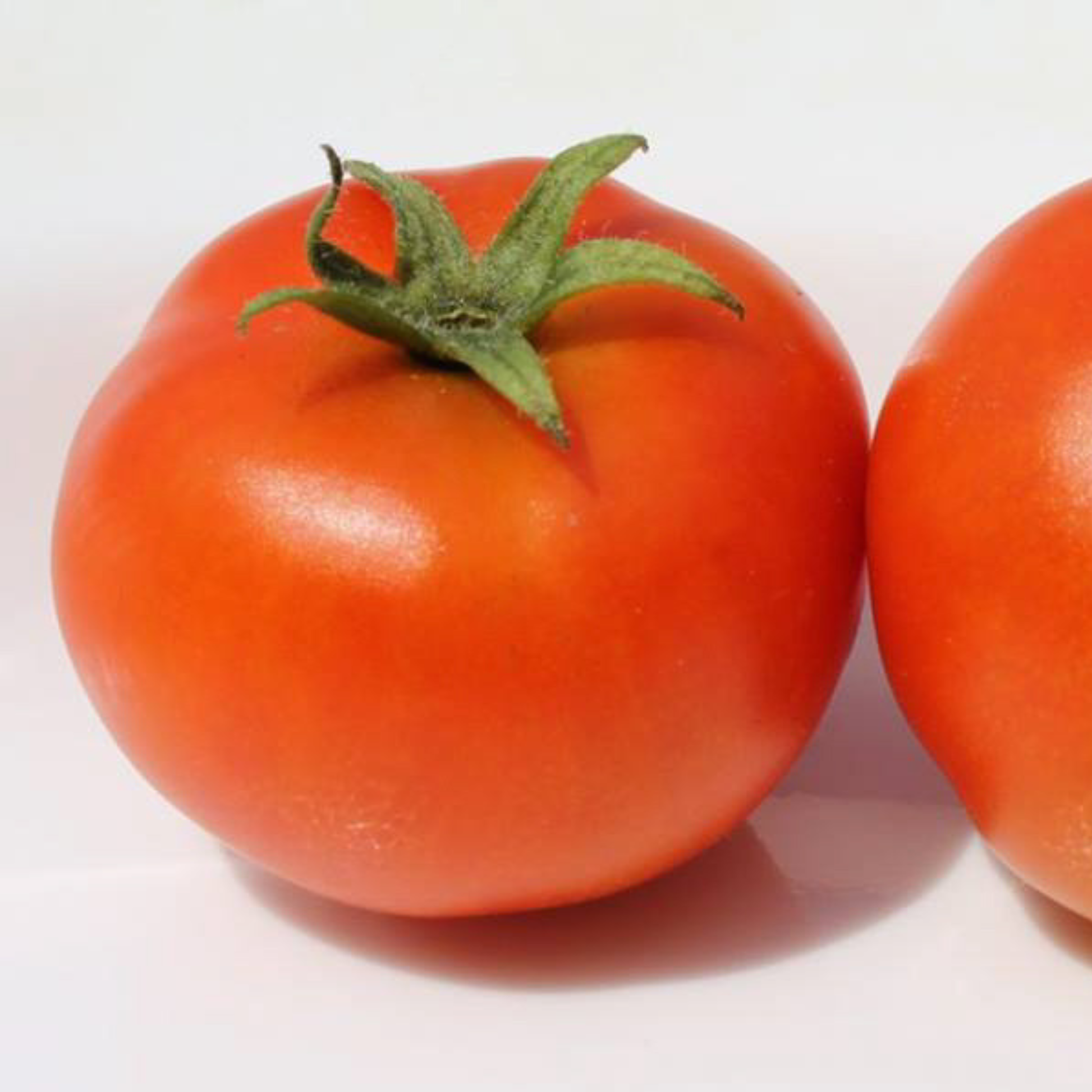 Close-up of ripe Mini Bell micro dwarf cherry tomatoes 