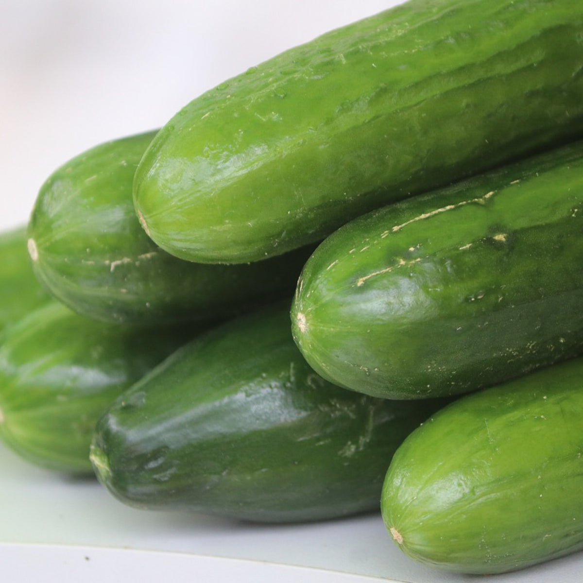 Freshly harvested Muncher cucumbers with smooth green skin