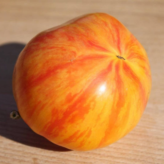 Old German Tomato