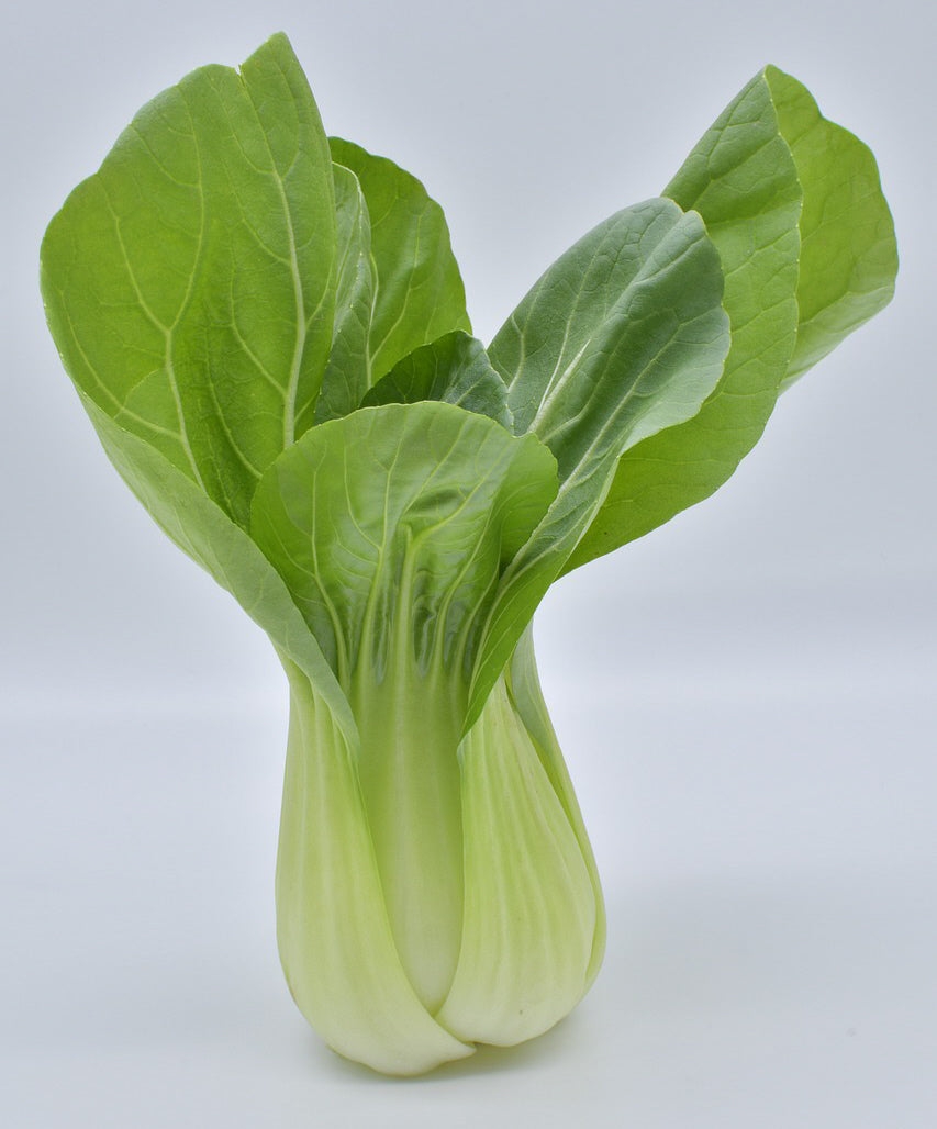 Pak Choi Taisai cabbage with pale green stems and green leaves