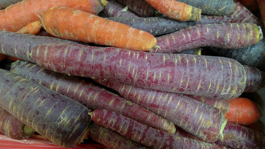 Purple Carrot - Cheap Seeds, LLC