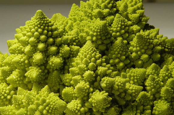 Romanesco Broccoli