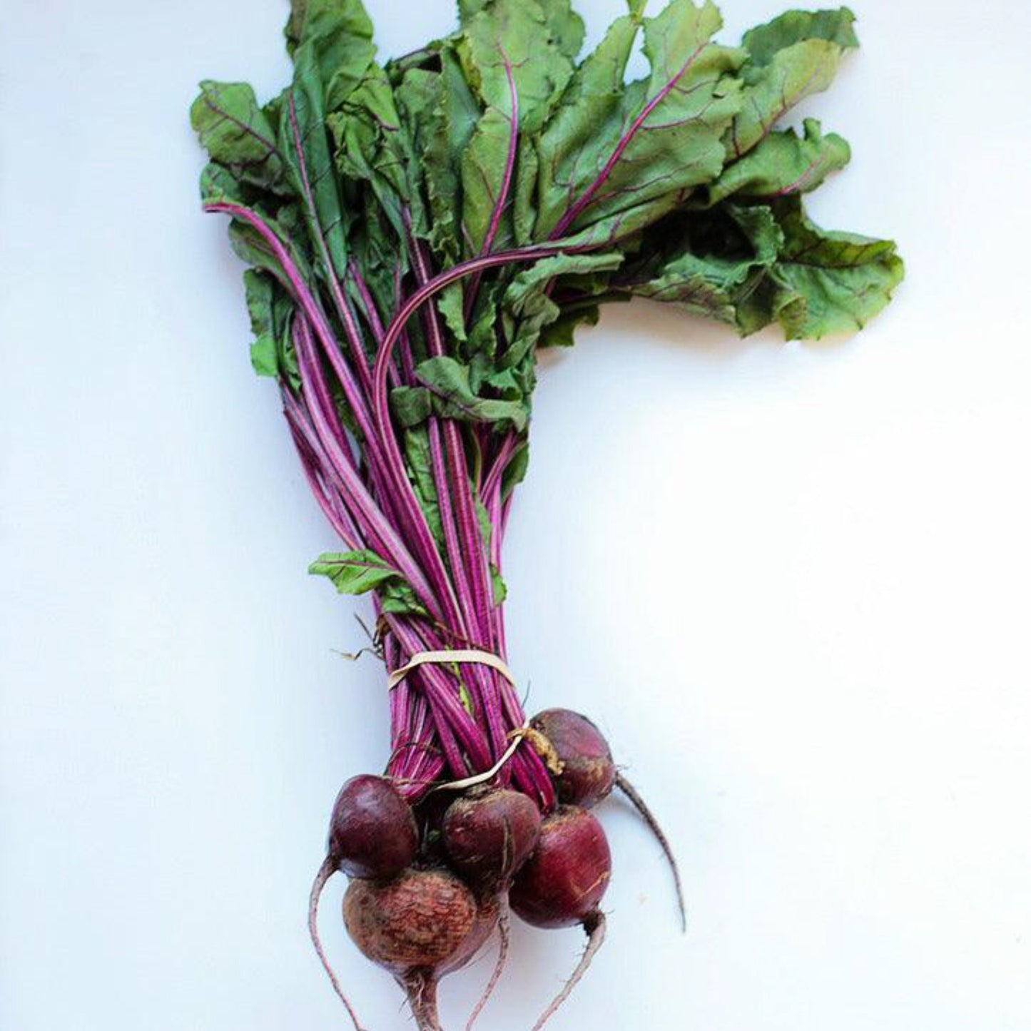 Ruby Queen beets with deep red roots and green tops