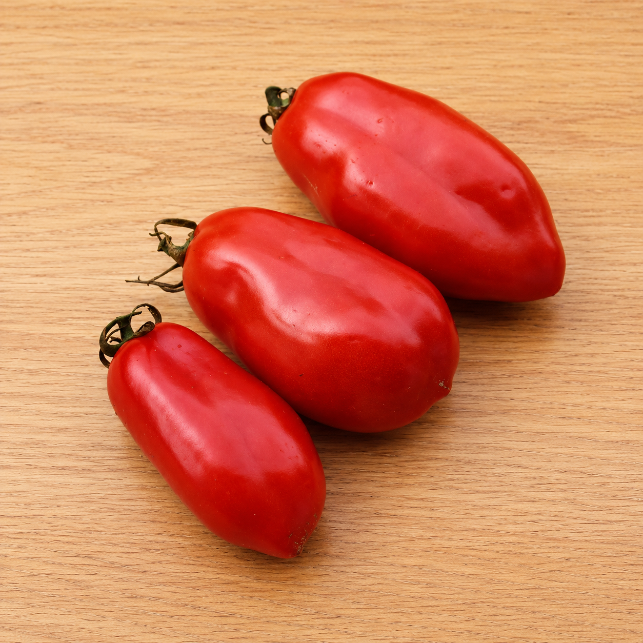 Ripe red San Marzano paste tomatoes for sauce, canning, and preserving