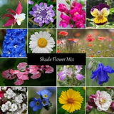 Shade Flower Mix