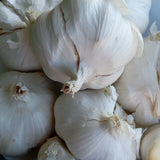 Silver White Garlic