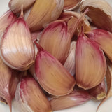 Spanish Roja Garlic