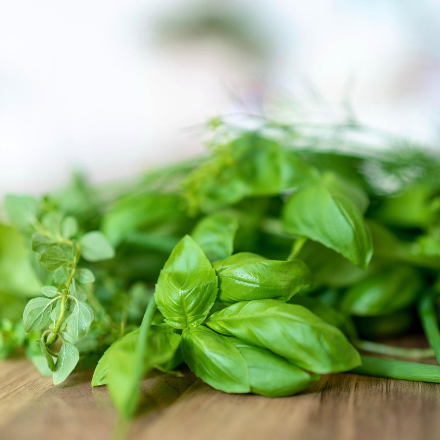 Spicy Globe Basil