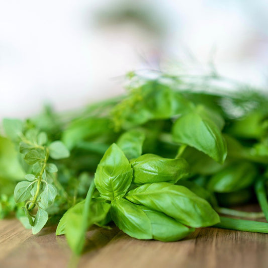 Spicy Globe Basil