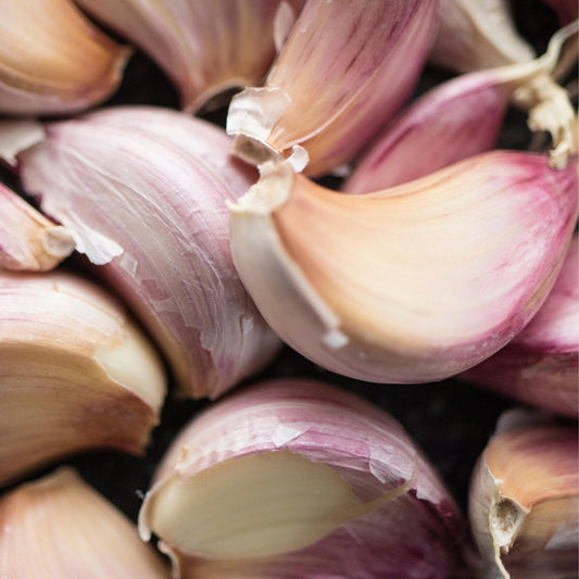 A close-up of whole garlic bulbs with pink and purple skins, showcasing their cloves and bulbs.