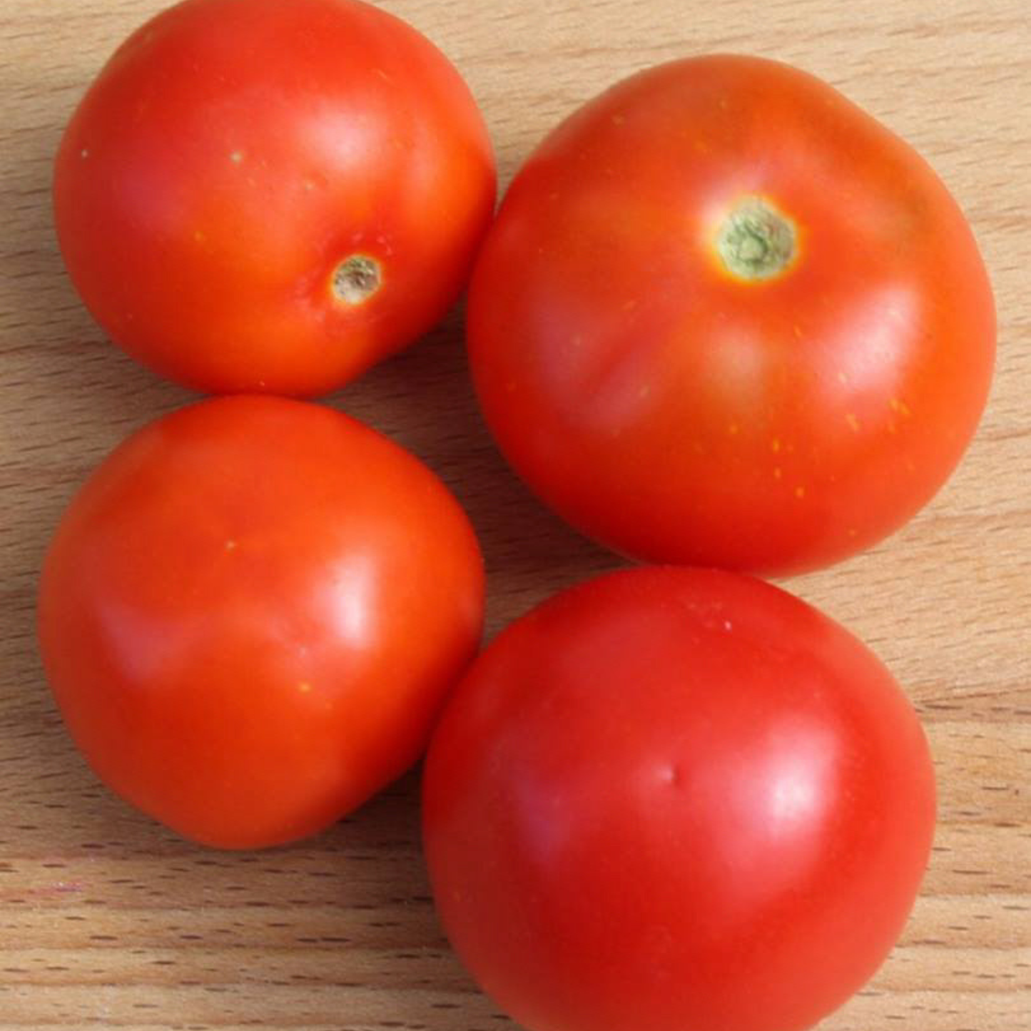 Close-up of ripe Tiny Tim red cherry tomatoes displayed on a wooden board.