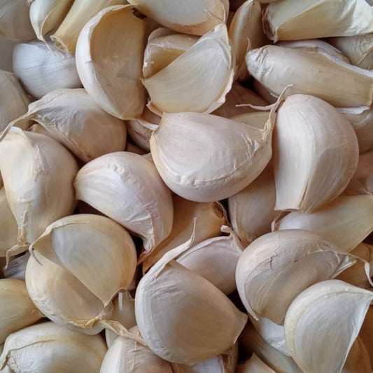 Transylvania Garlic