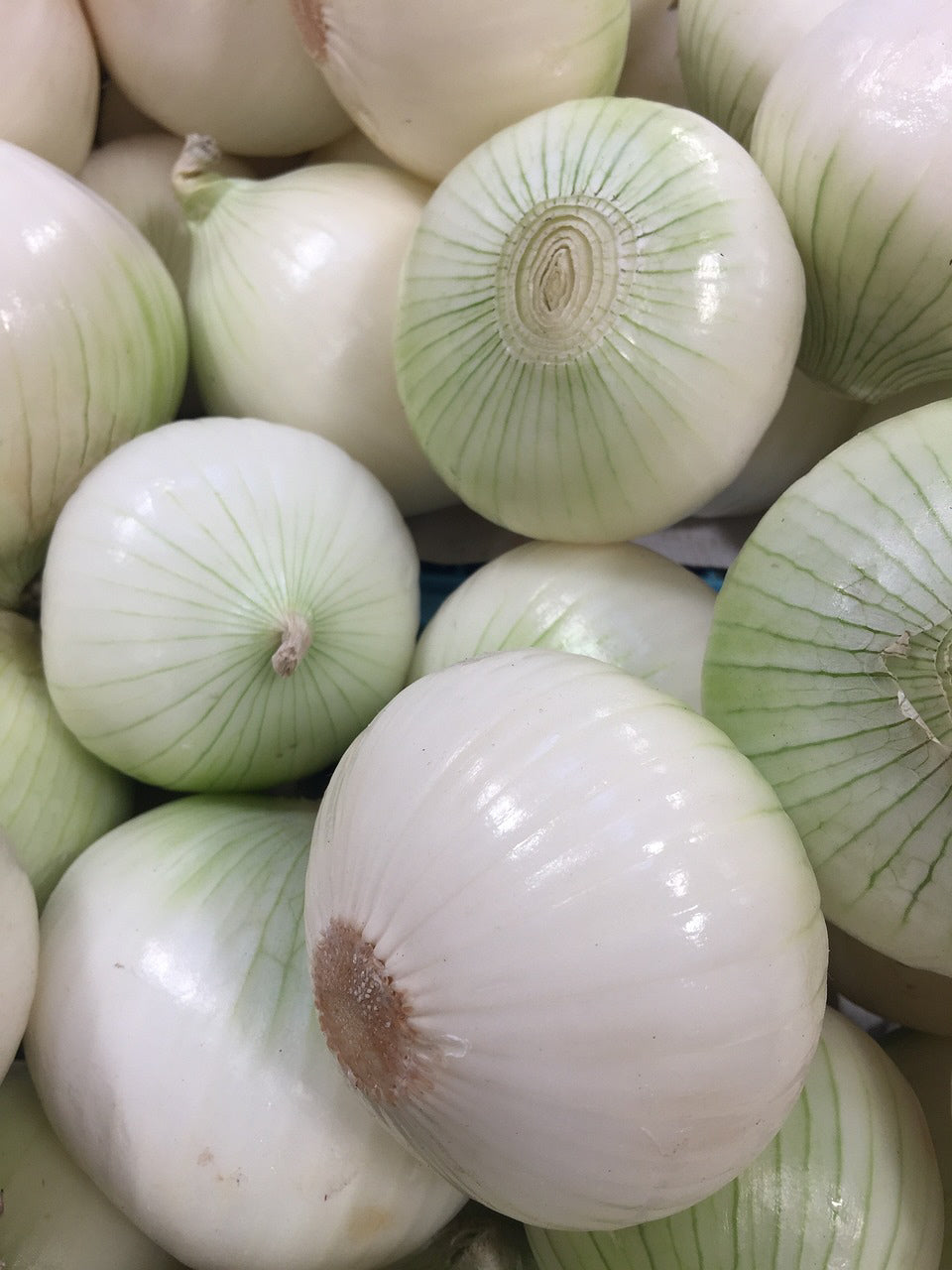 White Sweet Spanish Onion